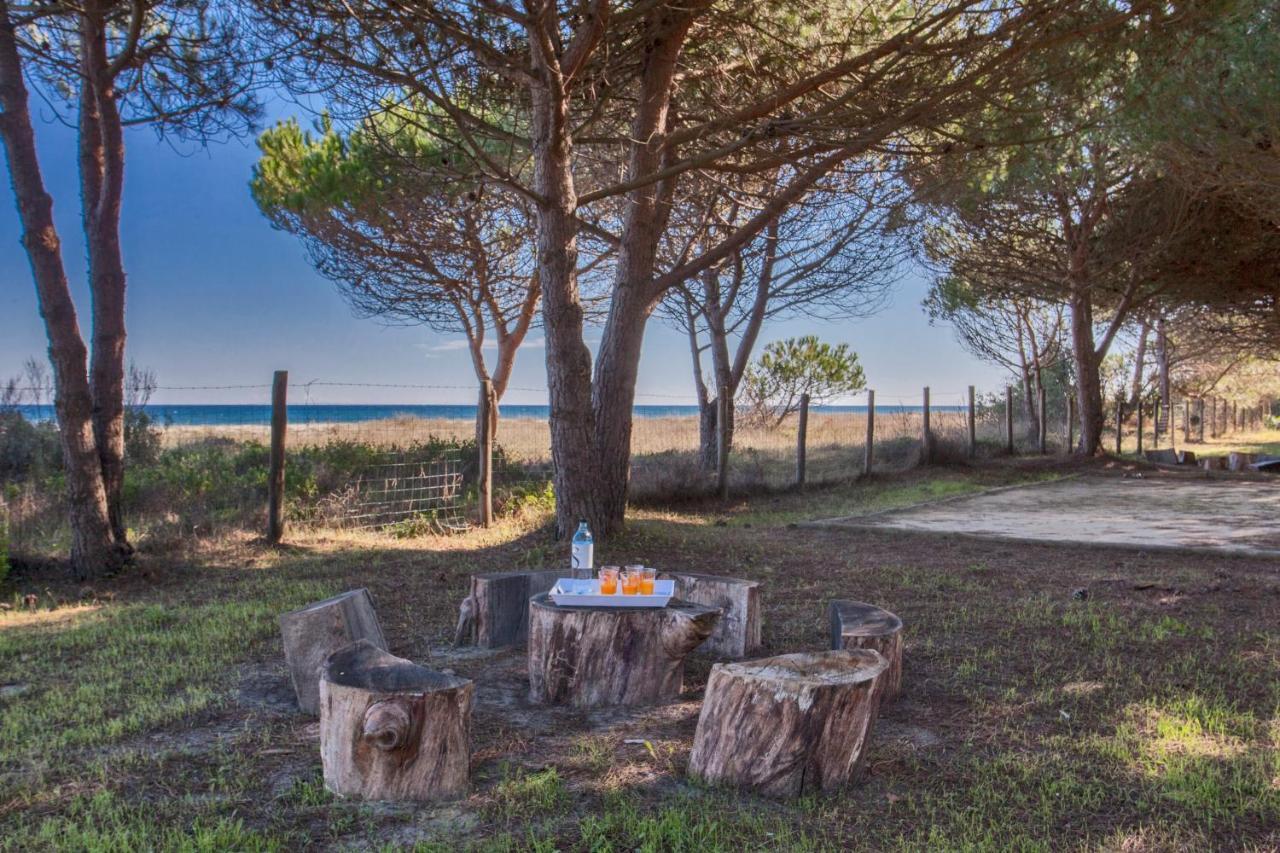 Maisons Bord De Mer- Marine De Sorbo - Gites 3 Epis Pinarellu  Luaran gambar