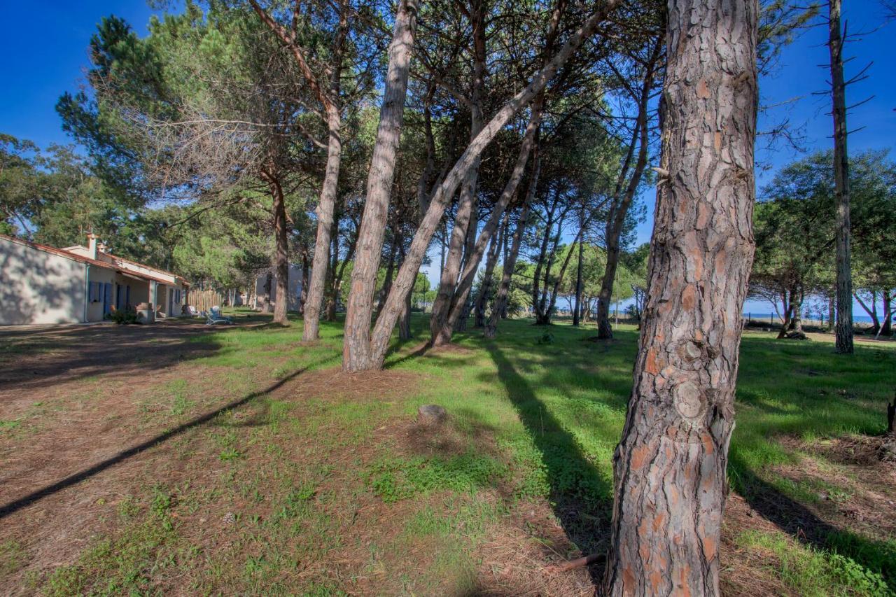Maisons Bord De Mer- Marine De Sorbo - Gites 3 Epis Pinarellu  Luaran gambar