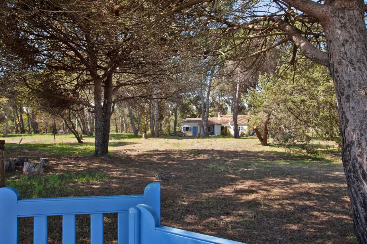 Maisons Bord De Mer- Marine De Sorbo - Gites 3 Epis Pinarellu  Luaran gambar